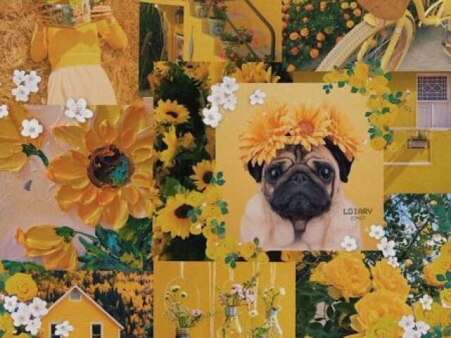 Aestheic!