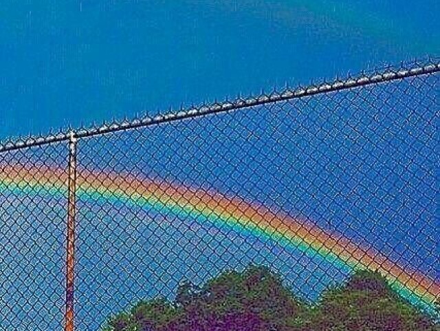 Escolha algumas fotos e te direi seu estilo 🌈🍉✨