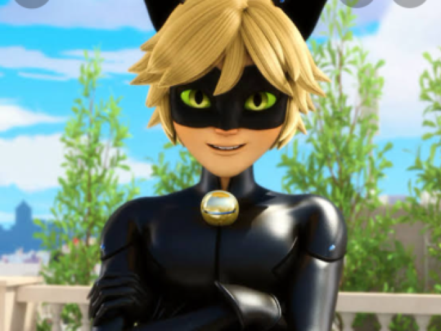 Cat noir