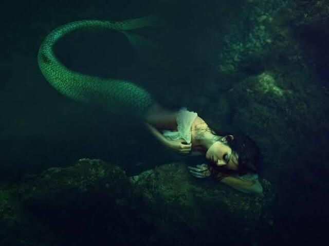 Sereia