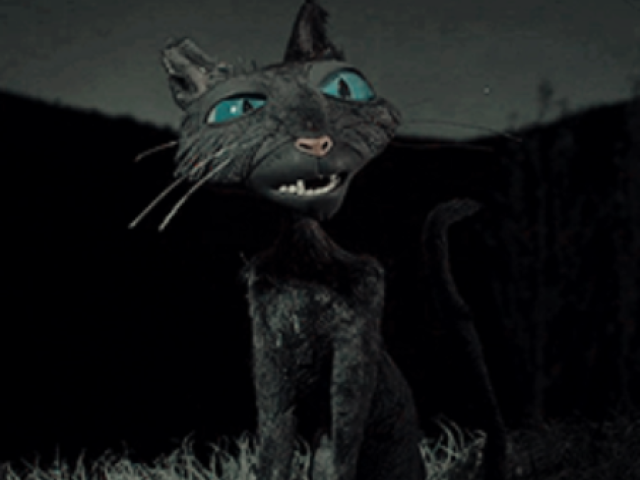 Gato