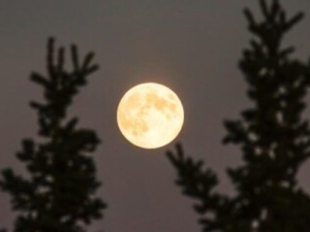 Lua