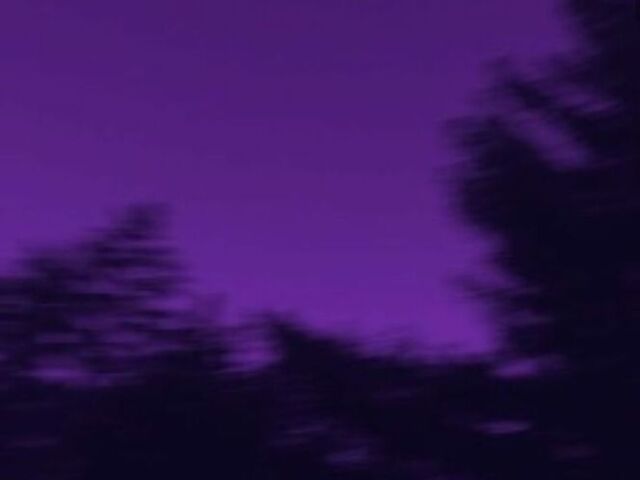 Roxo