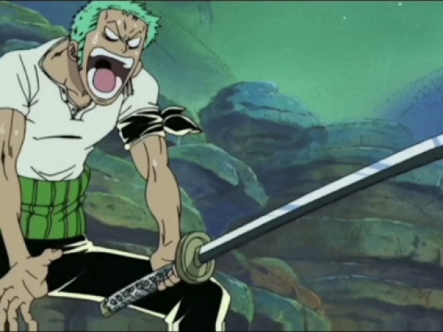 Zoro sola