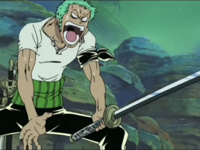 Zoro sola