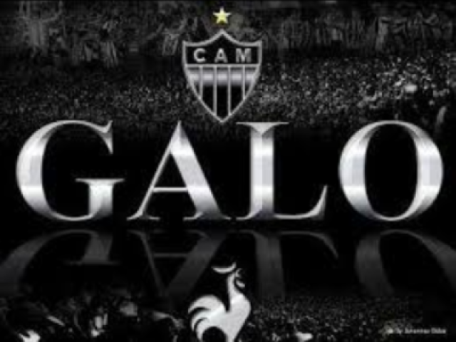 Galo🖤🤍