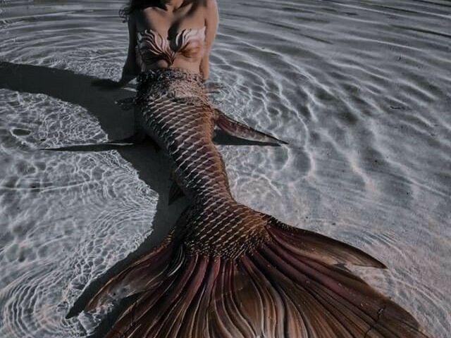 🧜🏼♀️-Monte sua sereia-🧜🏼♀️