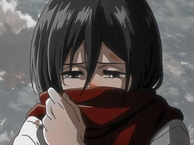 Mikasa