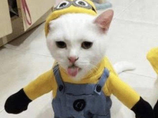 ๐จ๐๐๐๐๐ ๐๐๐๐๐ ๐๐ ๐๐ ๐๐๐ ๐
๐ 366