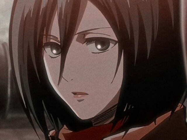 Mikasa ackerman (shingeky no kyojin ou attack on titan)