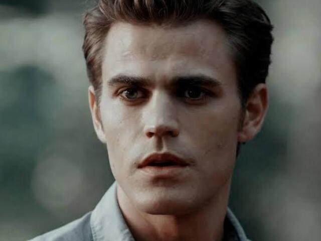 Stefan Salvatore ( The Vampire Diaries )