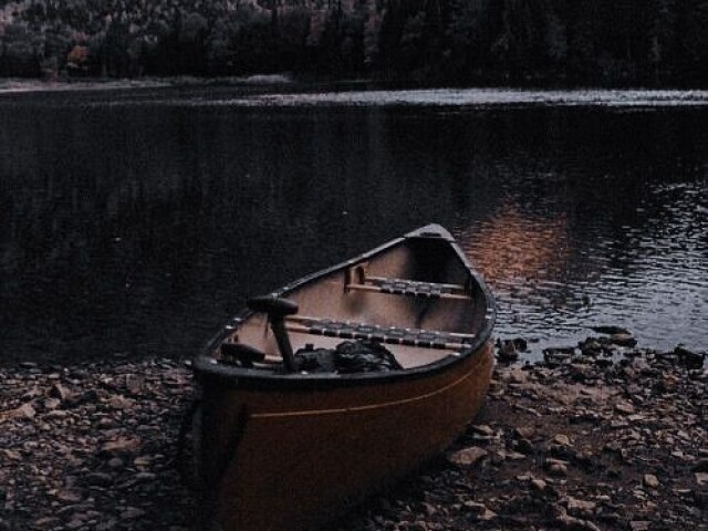 Aesthetic 5