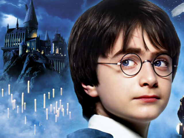 Harry potter (Harry potter)