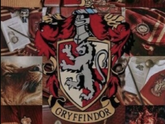 Gryffindor/grinfinoria❤️🦁