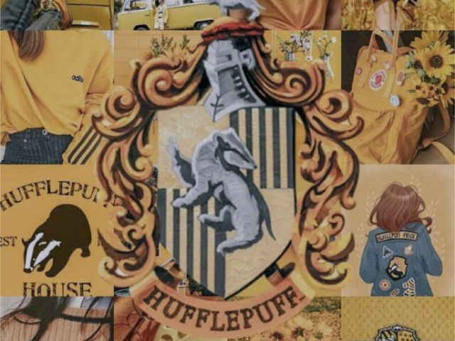 Hufflepuff/lufa-lufa 🦝💛