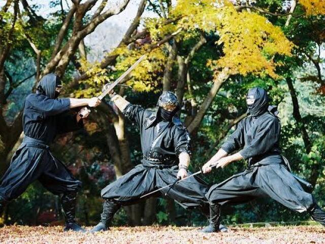 TAIJUTSU