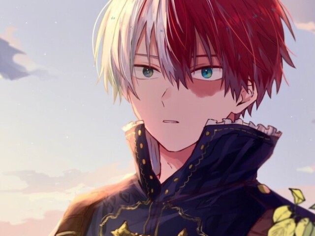 Todoroki Shoto