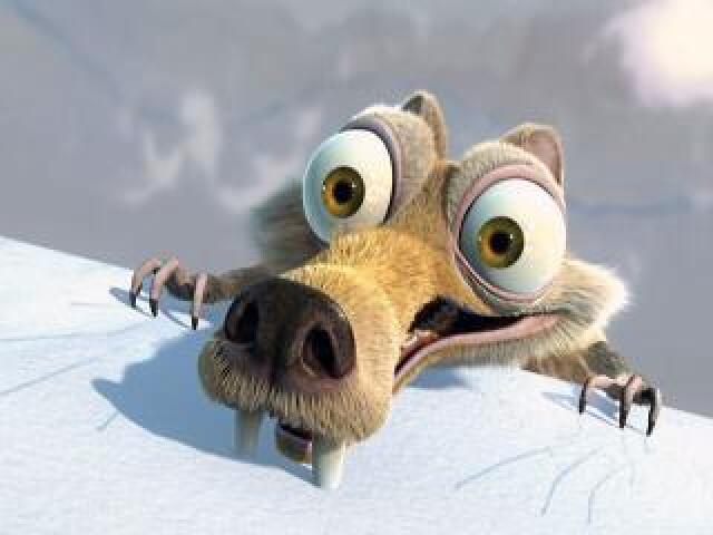 Qual animal voce seria?