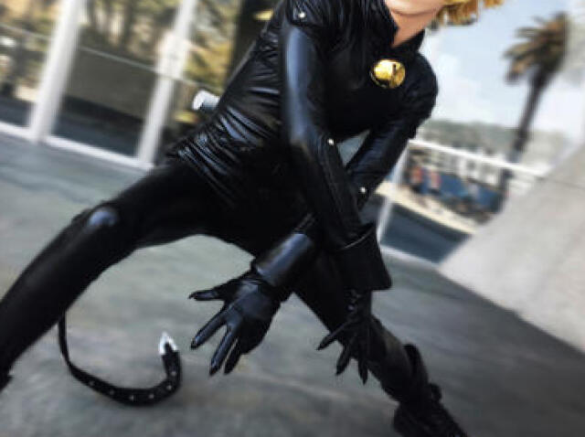 CHAT NOIR