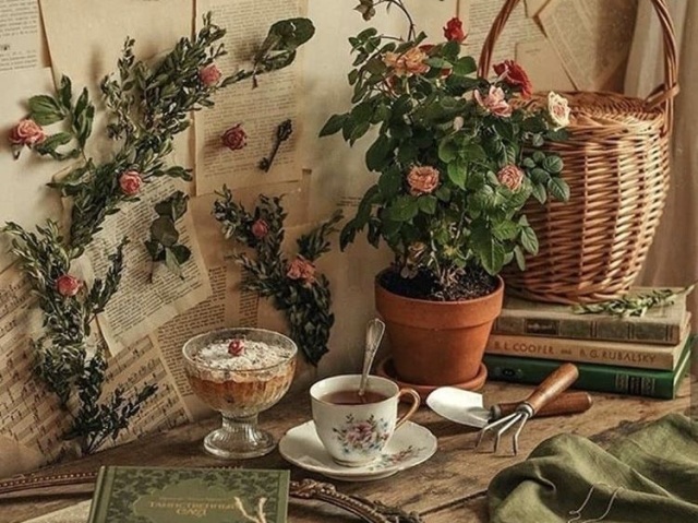 Cottagecore🍞🍓🍯🥧🧺🍦🌾🌿🍄