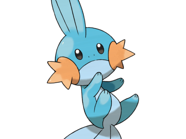 Mudkip