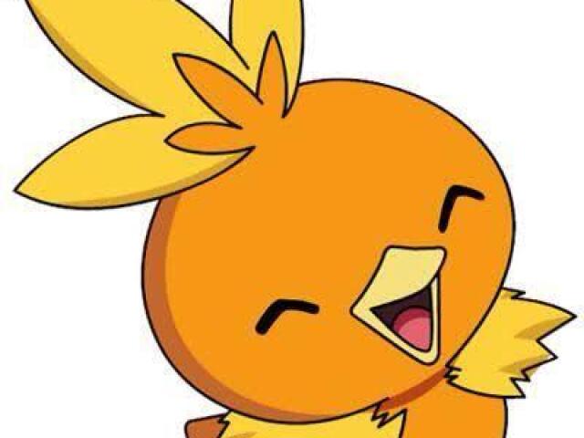 Torchic