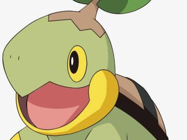 Turtwig