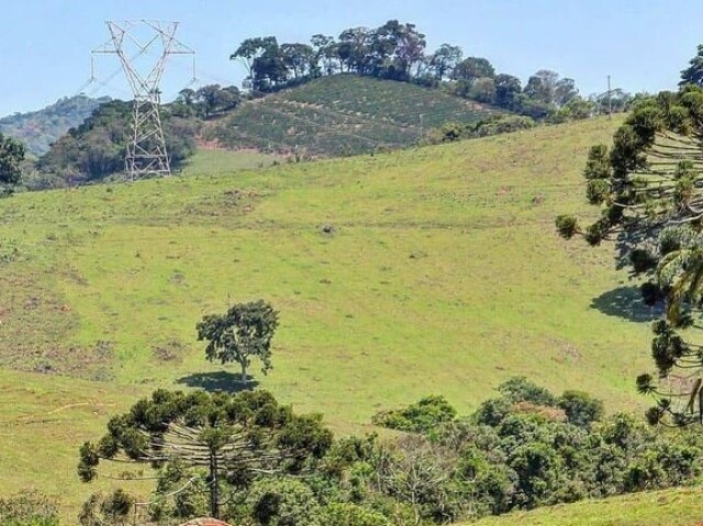 Ao ar livre/ bonita