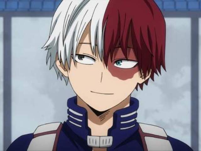 Shoto Todoroki