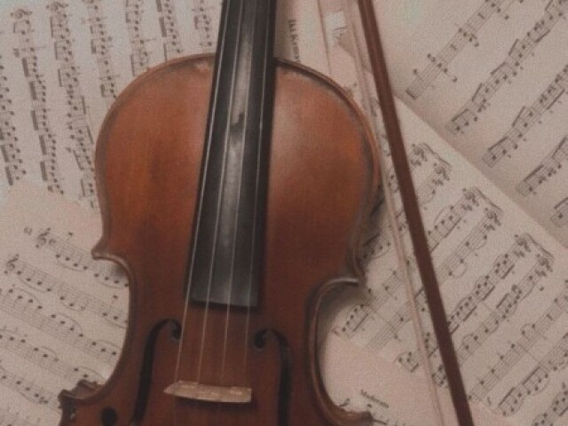 Violino