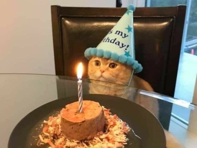 Parabéns!