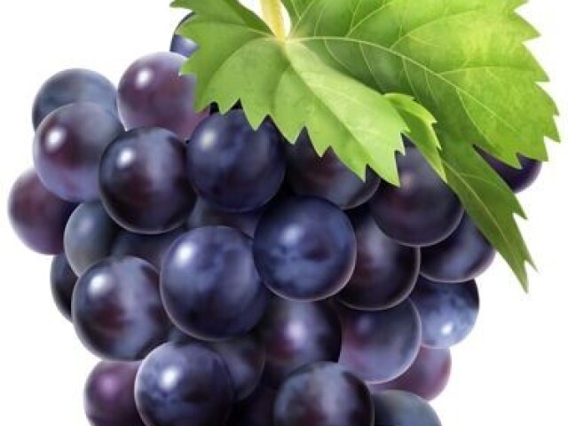 Roxo