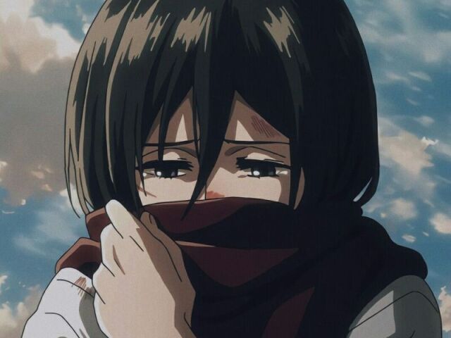 Mikasa