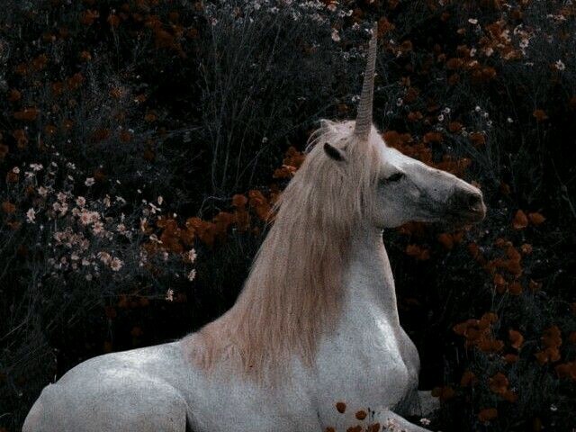 Unicornio