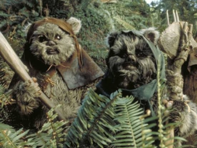 Um ewok