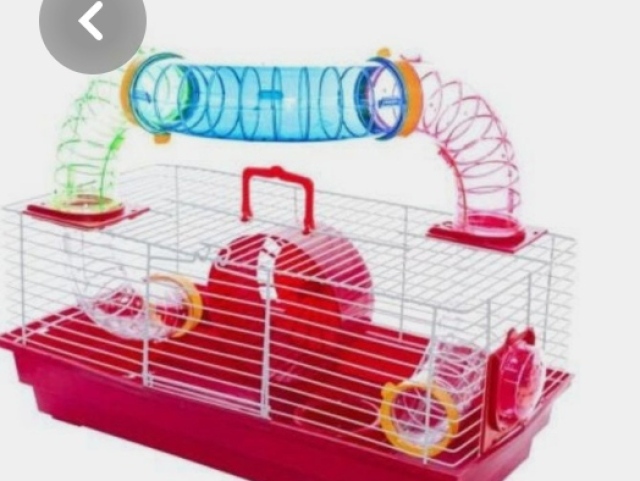 Uma gaiola , pois os tubos são muito divertidos e coloridos, e hamsters são animais pequenos, não precisão de tanto espaço.