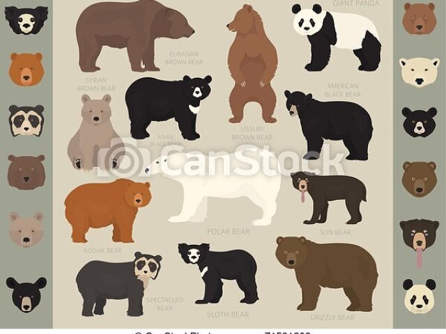 Ursos!!! São os melhores e são fofos!!!🐼🐻🐻