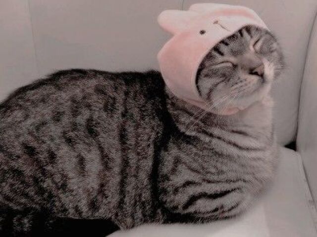 <3 🍉