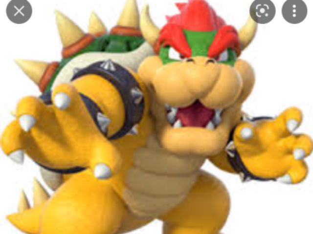 Bowser