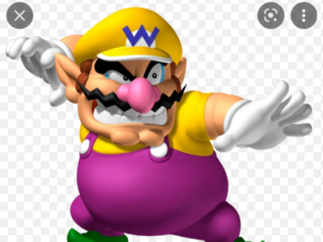 Wario