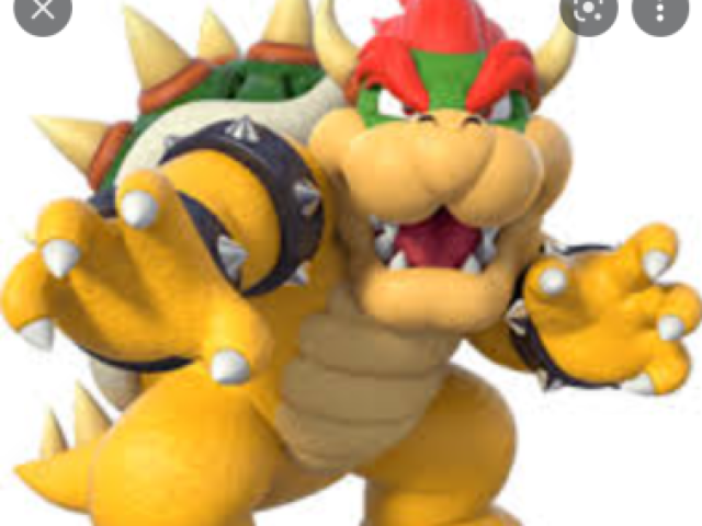 Bowser