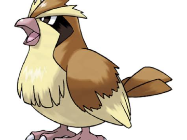 Pidgey