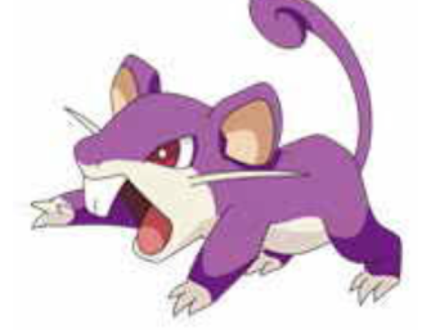 Rattata