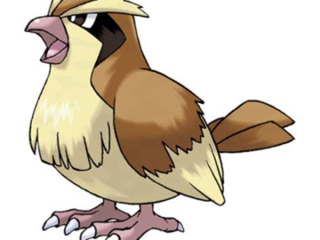 Pidgey ou rattata