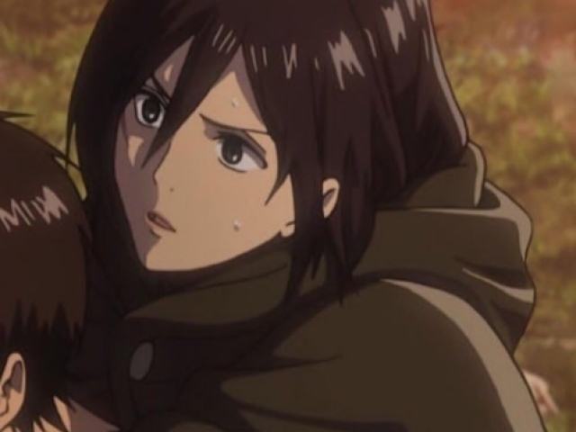 Mikasa