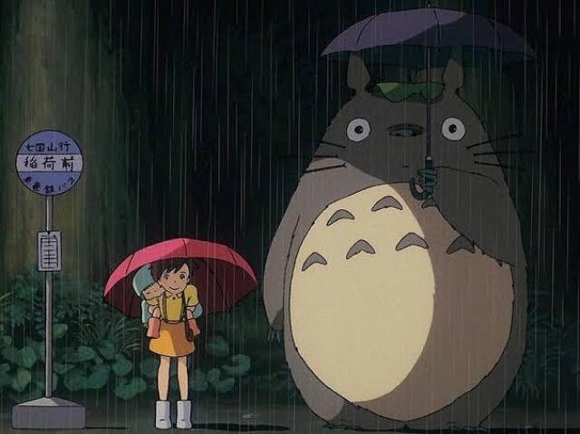 meu amigo totoro