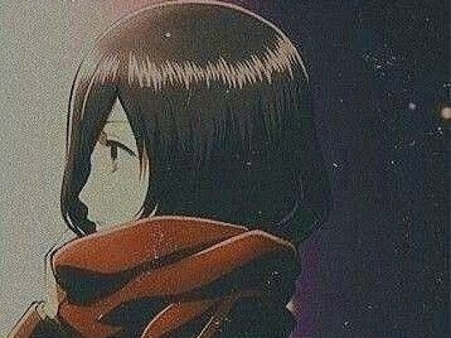 Mikasa