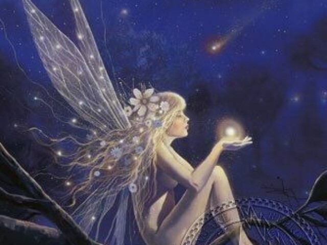 Fada das estrelas⭐