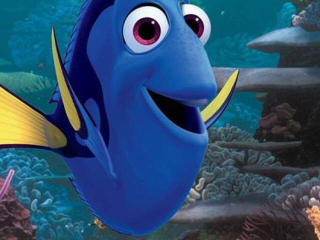 Dory