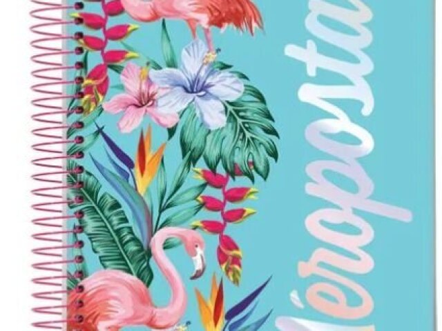 Quanto foi amiguinho bonito eu viver um sonho se tivesse um caderno desse